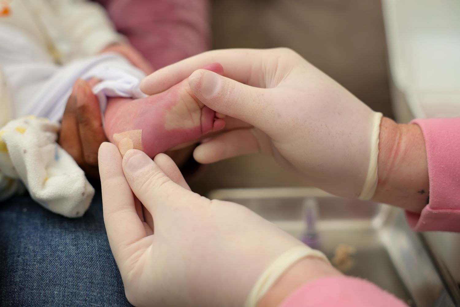 SC amplia Teste do Pezinho que agora permite detecção da toxoplasmose